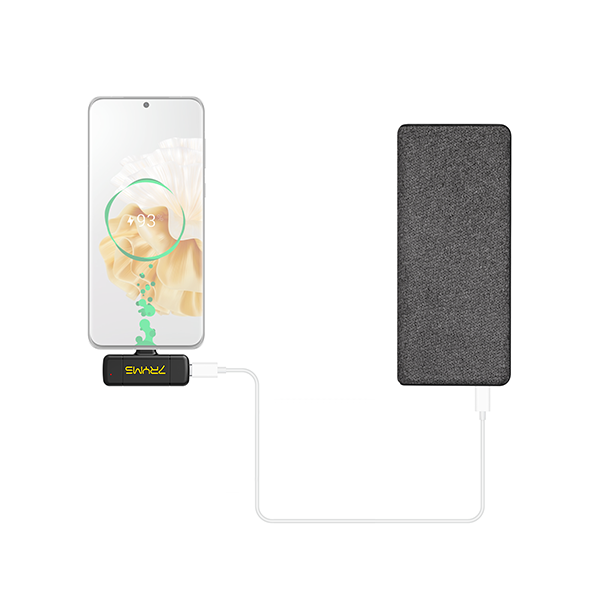 Бездротова мікрофонна радіосистема 7ryms Rimo S1 UC Type C з двома мікрофонами